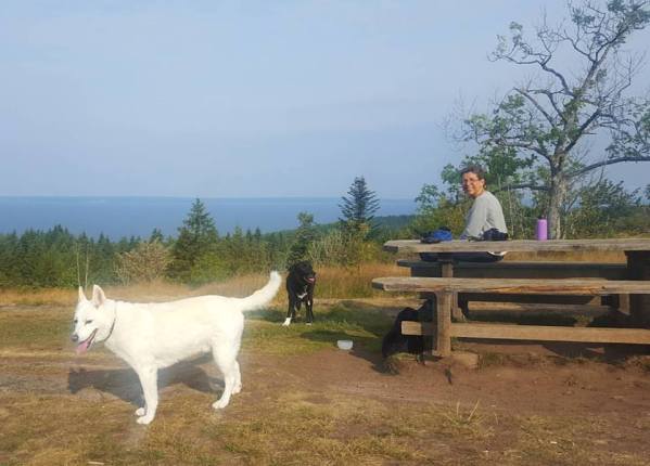 20664780_1535723959781190_2132893160055713912_n