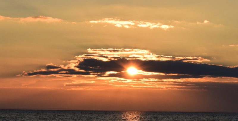 cropped-csc_0063.jpg