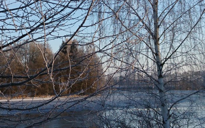 DSC_0381 (2)