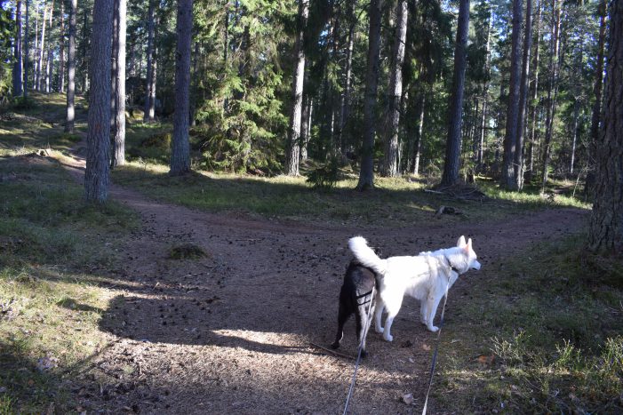 DSC_0012