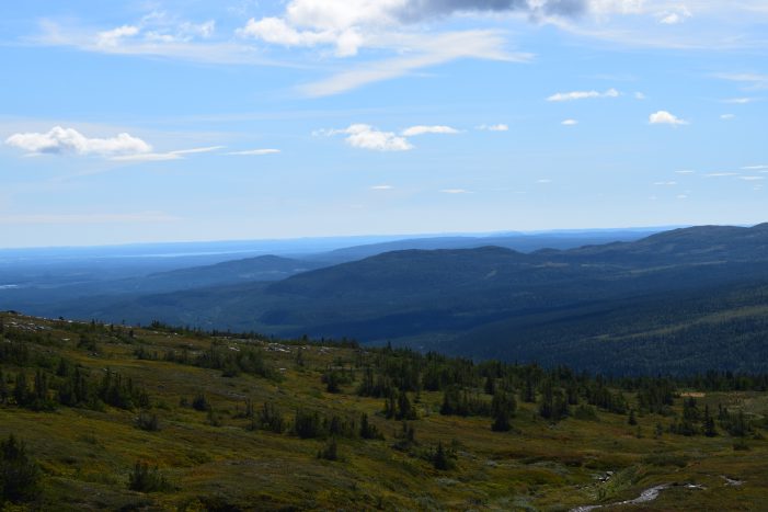 DSC_0049