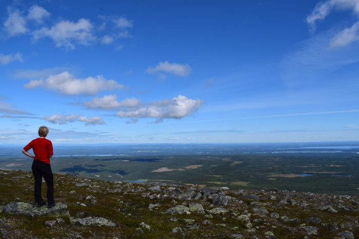 DSC_0065