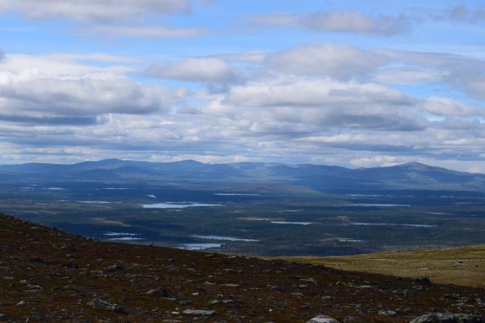 DSC_0096