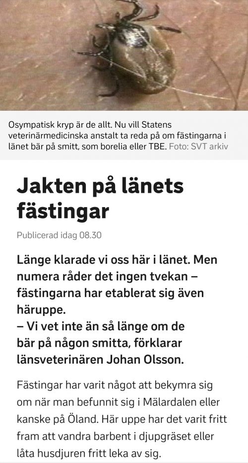 Screenshot_20190718-114637_SVT Nyheter